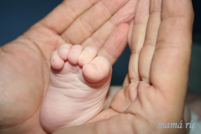 Calcetines fieles compañeros de los niños