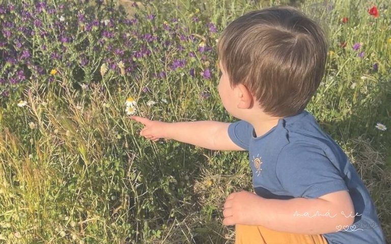 Niño en la etapa de los porqués descubriendo el mundo