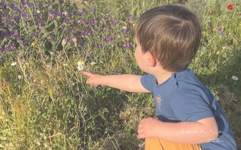 Niño en la etapa de los porqués descubriendo el mundo